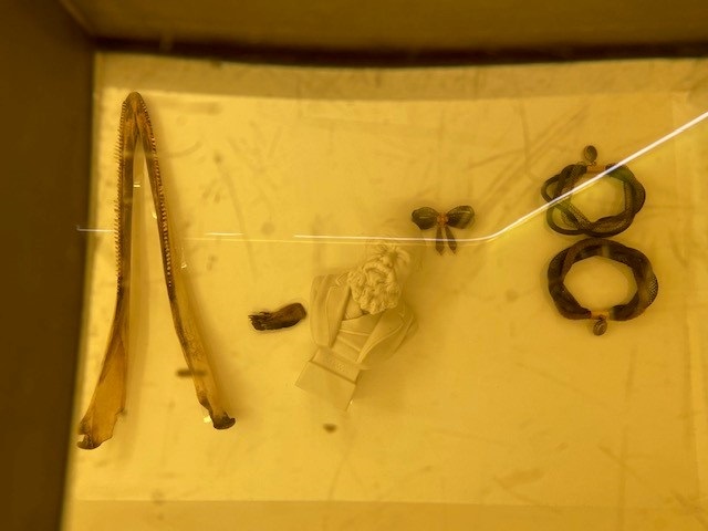An i-Phone picture of what a visitor may be able to see when looking through an acrylic showcase lid and into a multi-layered showcase featuring the glass viewing window on the first layer, and down below to the base featuring a dolphin jaw with scrimshaw decoration (MAAS Collection A4652), a dried raccoon paw (MAAS Collection 2017/4/3-8), a porcelain bust of Charles Darwin (MAAS Collection A2277) and mourning jewellery (MAAS Collection 96/266/1:2).